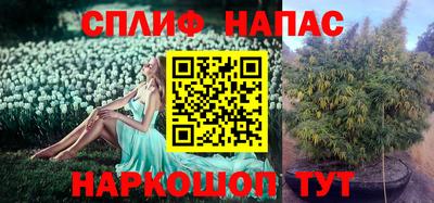 гидра Бузулук