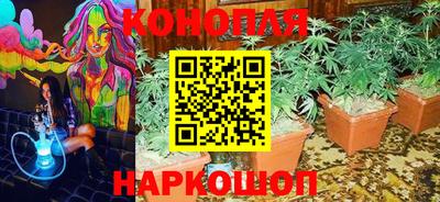 МДПВ Будённовск