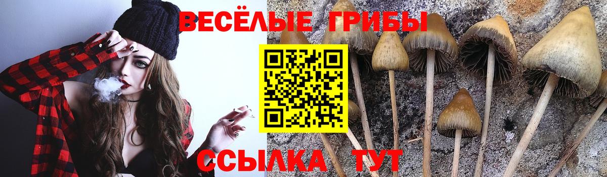 Псилоцибиновые грибы GOLDEN TEACHER  Вход с VPN  Азов 